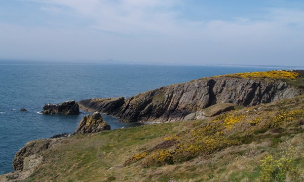 Sutton Howth Howth Cliff Walk to Sutton Cross, Howth Abbey, Seals in Howth harbour ...