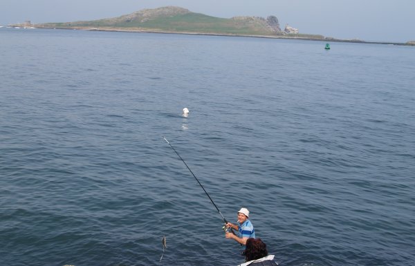 Sutton Howth Howth Cliff Walk to Sutton Cross, Howth Abbey, Seals in Howth harbour ...