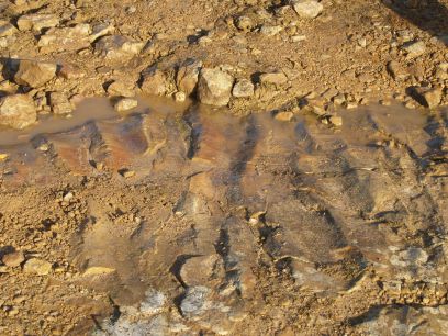 Castleton Quarry 14. Mill Race Quarries Kiln Some industrial archaeological aspects of ...