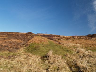 Castleton Quarry 14. Mill Race Quarries Kiln Some industrial archaeological aspects of ...