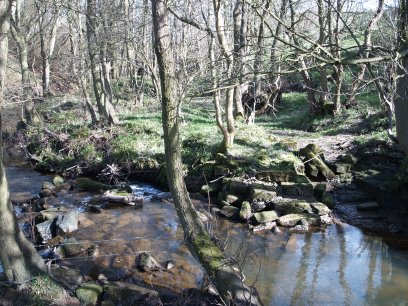 Castleton Quarry 14. Mill Race Quarries Kiln Some industrial archaeological aspects of ...